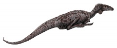 † Zupaysaurus rougieri(vor etwa 228 bis 208,5 Millionen Jahren)